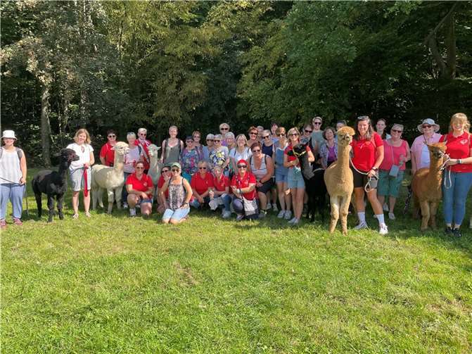 Die Mitglieger mit ihren Wegbegleitern, den Alpakas.  Foto: Luca Gambino