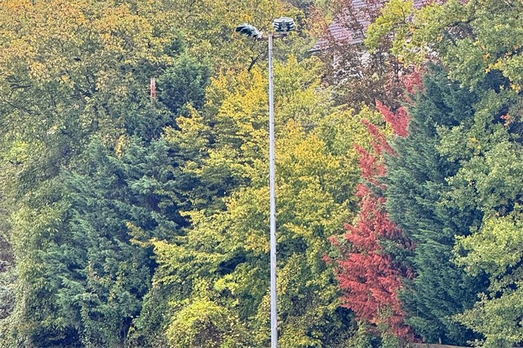 Die Montage durch die Firma lumosa.
