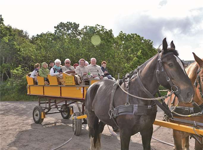 Die Moorbahnfahrt bereitete allen viel Vergnügen. Privat