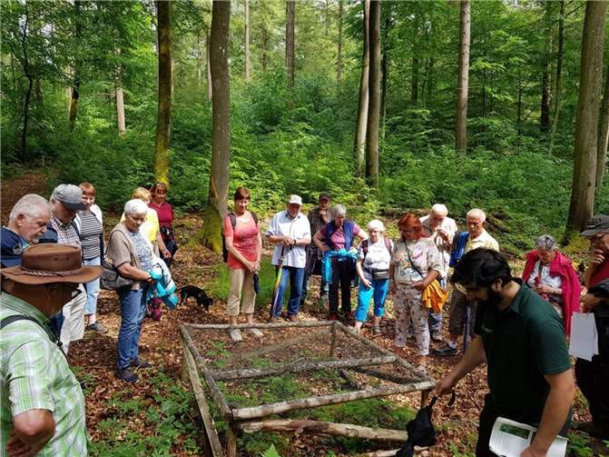 Die Mtiglieder der SenU erfuhren viel über den Zustand des Waldes.  Foto: privat