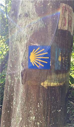 Die Muschel kennzeichnet den Jakobsweg.