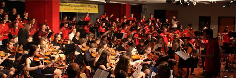 Die Musikensembles der Schule stimmten zum diesjährigen Sommerkonzert an.privat
