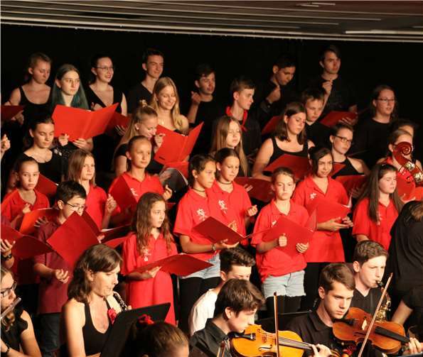 Die Musikerinnen und Musiker begeisterten ihr großes Publikum.