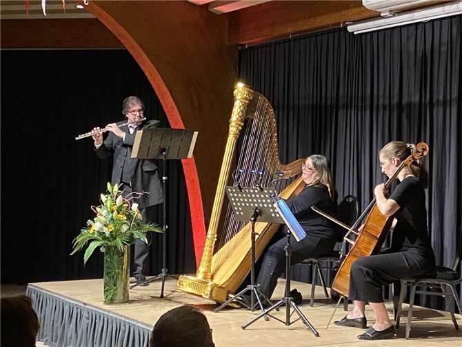 Die Musikschüler geben regelmäßige Konzerte.  Foto: privat