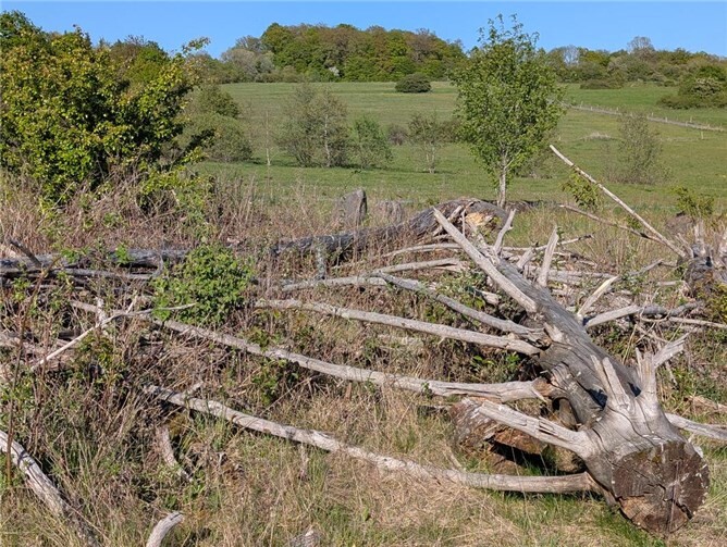 Die NABU Gruppe Hundsangen lädt zur Jahreszeitenwanderung aud der Naturerbefläche Westerwald ein.