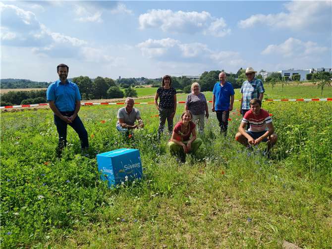 Die NABU Rengsdorf stellt sein Blühfeld in Rengsdorf vor. Foto: Uwe Waschke86