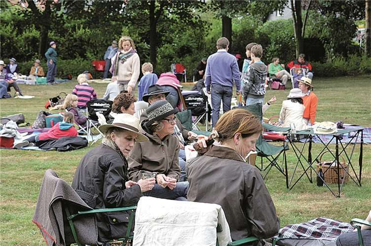 Die Nacht unter der Kastanie ist inzwischen ein beliebter Treffpunkt für die Bevölkerung.STEIN