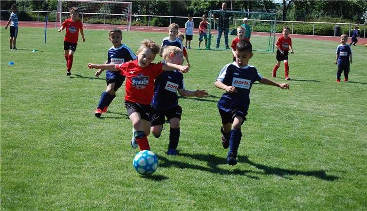 Die Nachwuchskicker waren mit vollem Einsatz dabei.Fotos: SK
