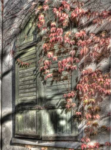 Die Natur erobert sich das zurück, was der Mensch nicht mehr beachtet. M. Brand