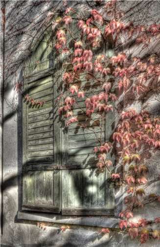 Die Natur erobert sich das zurück, was der Mensch nicht mehr beachtet. M. Brand