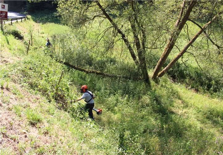 Die Naturfreunde führten die Freischneidearbeiten auf der Weide durch. Foto: privat