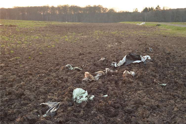 Die Naturschutzinitiative e.V. (NI) kritisiert das Unterpflügen von Resten von Plastikfolie auf einem Acker nahe Wölferlingen.Foto: Immo Vollmer/NI