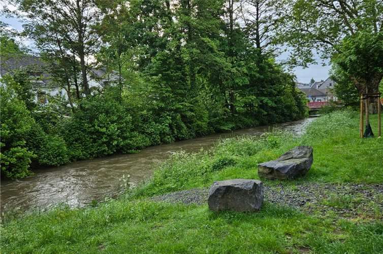 Die Nette im Bereich der Bürresheimer Straße am Morgen des 22. Mai.  Foto: Jasmin Alter / Stadt Mayen