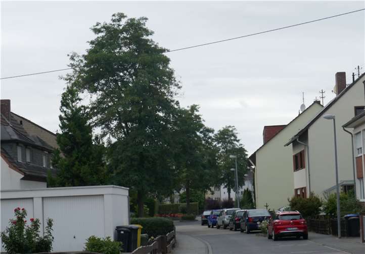 Die Nettestraße in Weißenthurm.Privat