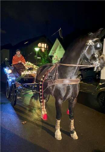 Die Nikolauskutsche.