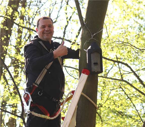 Die Nistkästen wurden am alten Baumbestand angebracht.