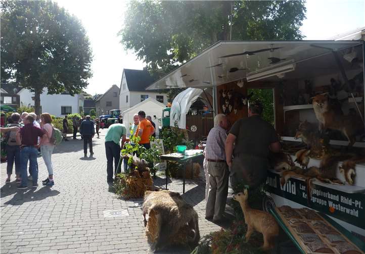 Die Nomborner Jägerschaft unterstützte den Gesangverein mit einem Planwagen und einer Ausstellung der „Erlebnisschule Wald & Wild des Jagdverbandes Westerwald“.