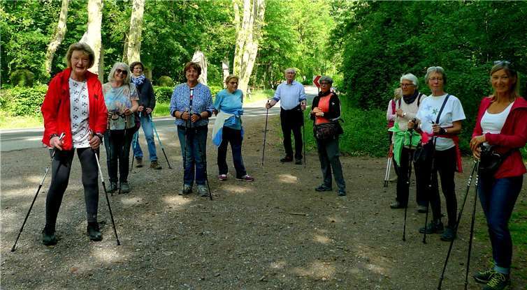 Die Nordic-Walken-Gruppe der Rheinbacher Altenhilfe e.V. freut sich wieder, ihre wöchentlichen Kreise durch den Rheinbacher Wald zu ziehen.Foto: privat