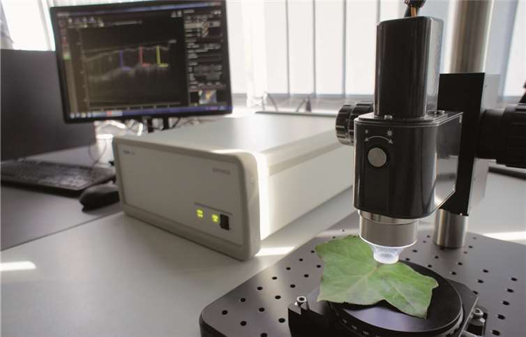 Die OCT ermöglicht es, lichtstreuende Proben in ihrem Inneren berührungsfrei zu betrachten. privat