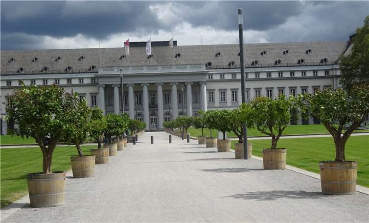 Die Orangeriebäume wurden aus dem Winterquartier genommen und stehen nun wieder vor dem Kurfürstlichen Schloss in Koblenz. Foto: BUGA-Freunde Koblenz
