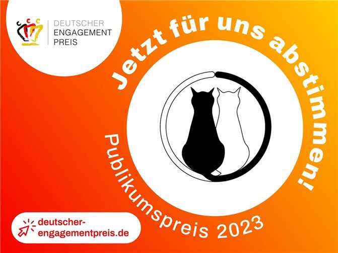 Die Organisation „Katzenschutzfreunde Rhein-Ahr-Eifel“ steht zur Wahl für den Publikumspreis des Deutschen Engagementpreises 2023, der mit 10.000 Euro dotiert ist. Copyright: Katzenschutzfreunde Rhein-Ahr-Eifel e. V.