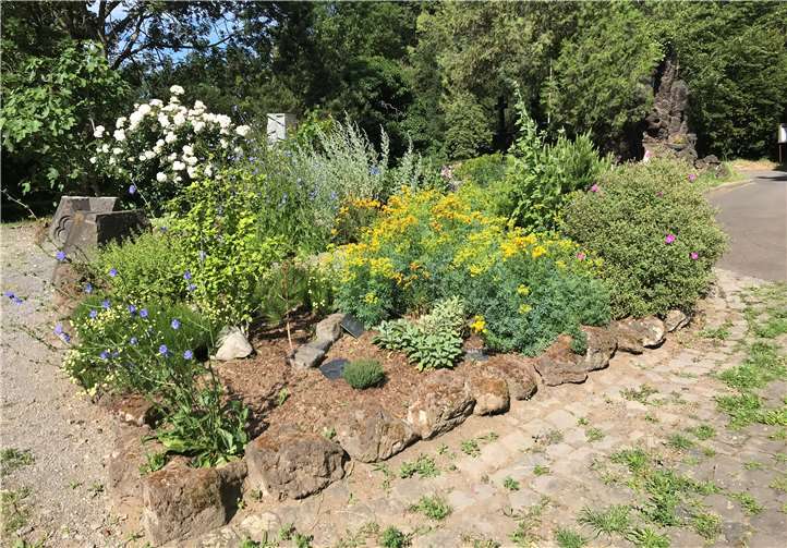 Die Ortsverwaltung Rübenach dankt dem ehrenamtlichen Team um Monika Sauer und Christa und Willi Thone, das sich so fürsorglich um den Bibelgarten gekümmert hat.Foto: privat