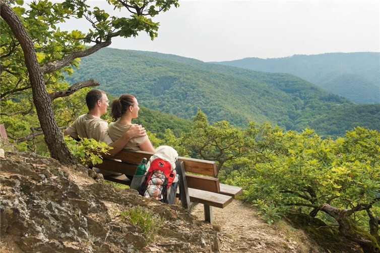 Die Panoramatour führt hoch zum Krausberg, wo eine Rast eingeplant ist.