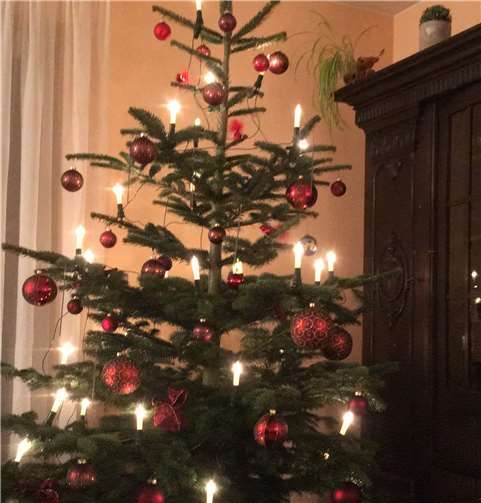 Die Pfadfinder sammeln die Weihnachtsbäume in Mendig ein. privat