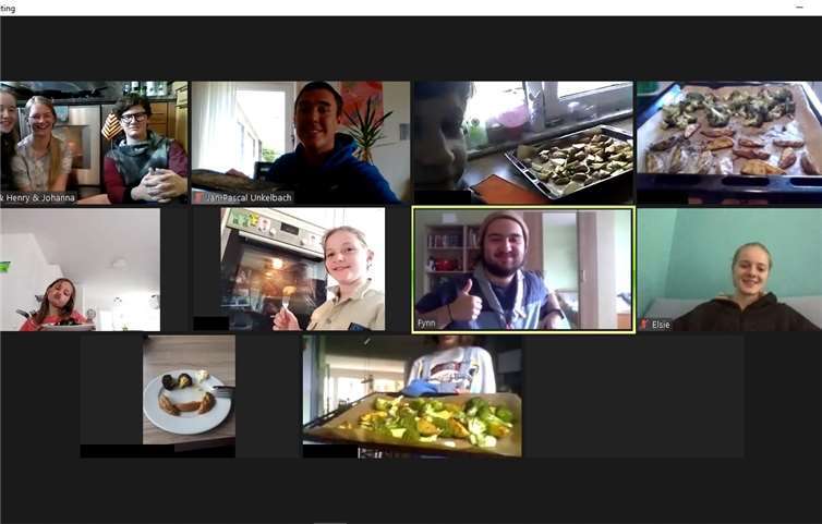 Die Pfadfinder traffen sich an Pfingsten zu einer Videokonferenz. Foto: privat