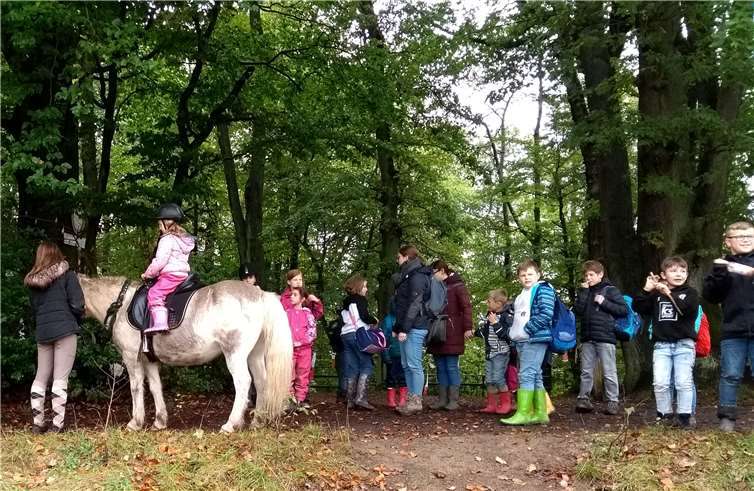 Die Pferderallye mit Wissensquiz war eins der Highlights der Aktionstage. Foto: privat