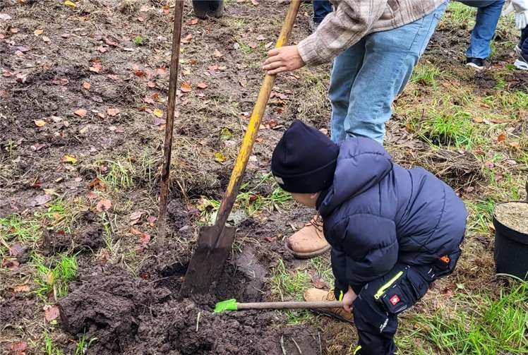 Gemeinsam Zukunft pflanzen  Die Pflanzaktion im Bendorfer Bürgerwald ist eine schöne Gelegenheit für Familien, gemeinsam aktiv zu werden. Auch in diesem Jahr können Bürgerinnen und Bürger wieder Bäume spenden und mitpflanzen.  Foto: Stadt Bendorf