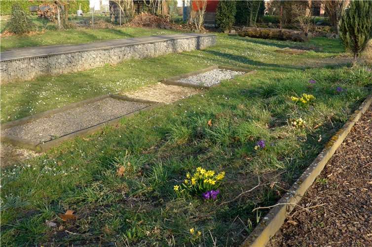 Die Pflanzentauschbörse findet am 7. Mai im Barfußgang-Bereich des Stadtparks Remagen statt. Quelle: Caritas AW
