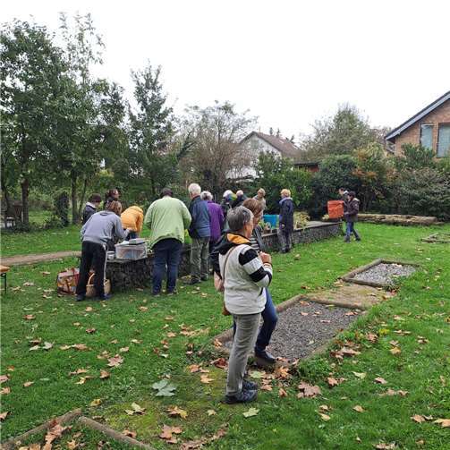 Die Pflanzentauschbörse findet einmal im Herbst und im Frühjahr statt.  Foto: privat