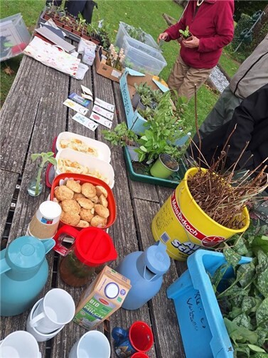 Die Pflanzentauschbörse findet einmal im Herbst und im Frühjahr statt.  Foto: Eva Sobotka