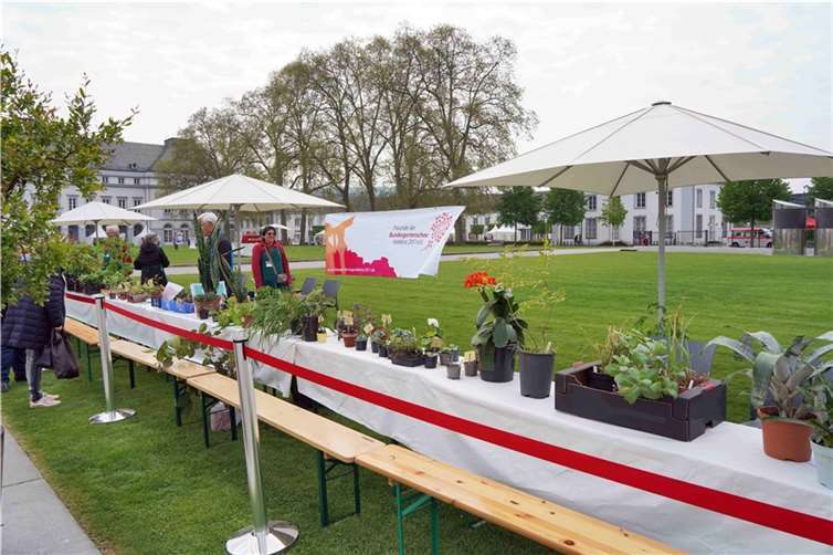 Die Pflanzentauschbörse findet wieder am 1. Mai statt. Copyright: BUGA-Freunde Koblenz, Friedhelm Zernack