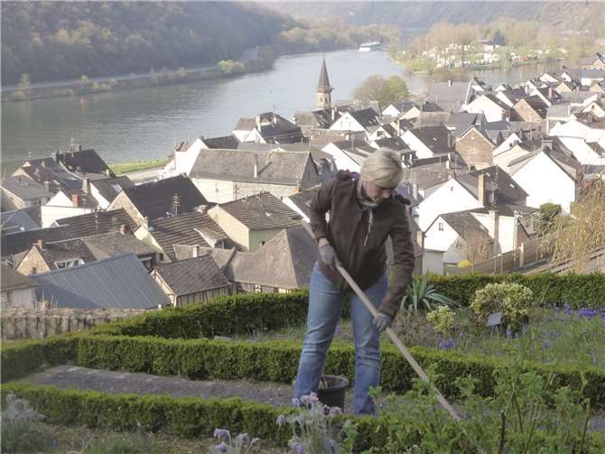 Die Pflege des Kräutergartens beansprucht viel Arbeitsaufwand, wird aber durch die Schönheit der Pflanzen belohnt. privat