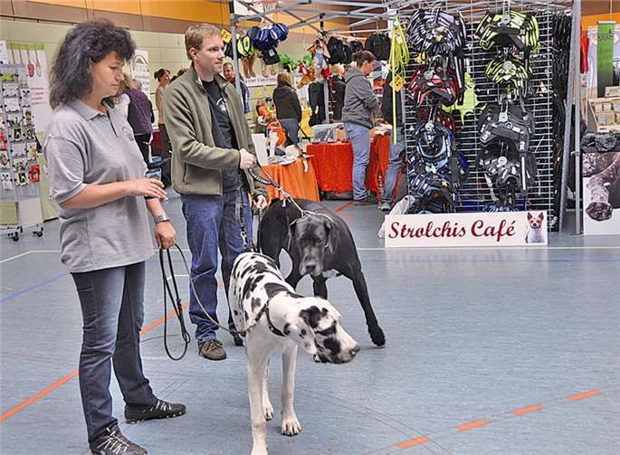 Die Pfotenmesse in der Remagener Rheinhalle lockte rund 700 Besucher an. AB