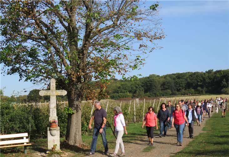 Die Pilger kurz vor dem Barbara-Kreuz. Dieses Kreuz ist von 1727 und wurde von Jacob Schuz gestiftet. Es wurde 2005 im Auftrag von Altbürgermeister Peter Schmitz restauriert.Fotos: privat
