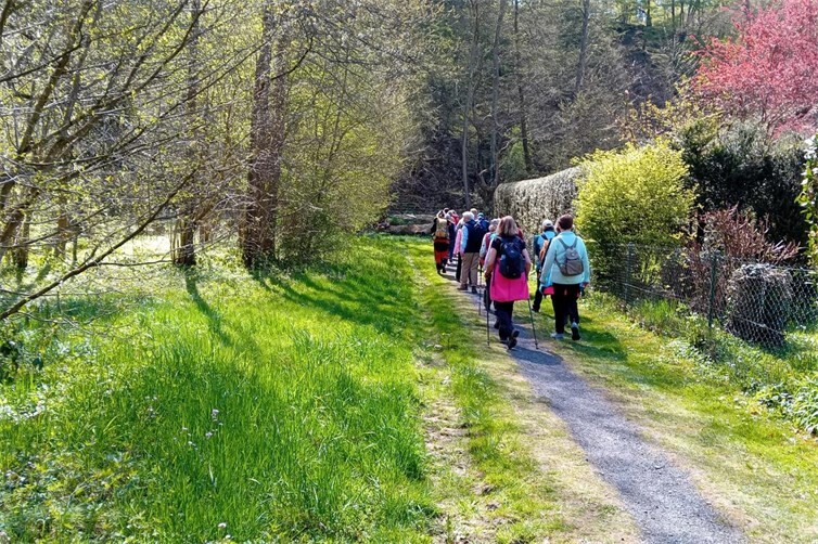Die Pilgerwanderung führt über Wege, die schon Mutter Rosa früher gegangen ist. 