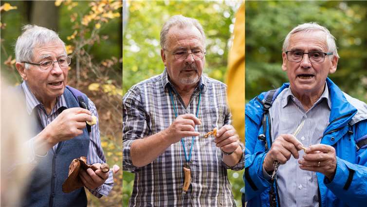 Die Pilzsachverständigen Stefan Elmer, Frank Krajewski und Manfred Schröder.Foto: privat