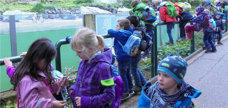 Die Pinguine interessierten die Kinder sehr - und umgekehrt.Fotos: privat