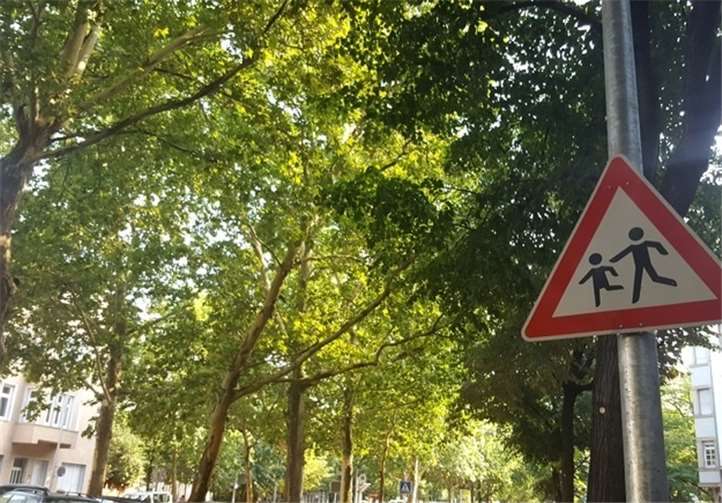 Die Polizei gibt hilfreiche Empfehlungen für einen sicheren Schulweg.Quelle: LKA