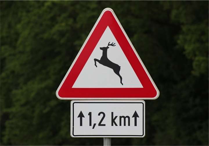 Die Polizei rät dringend dazu, die Wildwechsel-Schilder zu beachten, da in der dunklen Zeit die Wildunfallgefahr steigt. Foto: pixabay/GoranH
