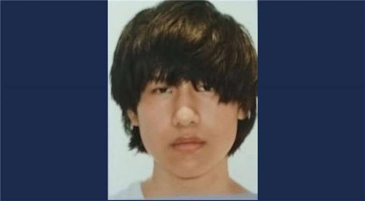 Die Polizei sucht nach dem vermissten 15-jährigen Ali. Foto: Polizei