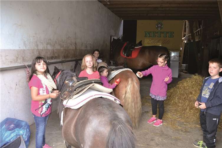 Die Ponys lagen bei den Jüngsten hoch im Kurs.U. Weiner