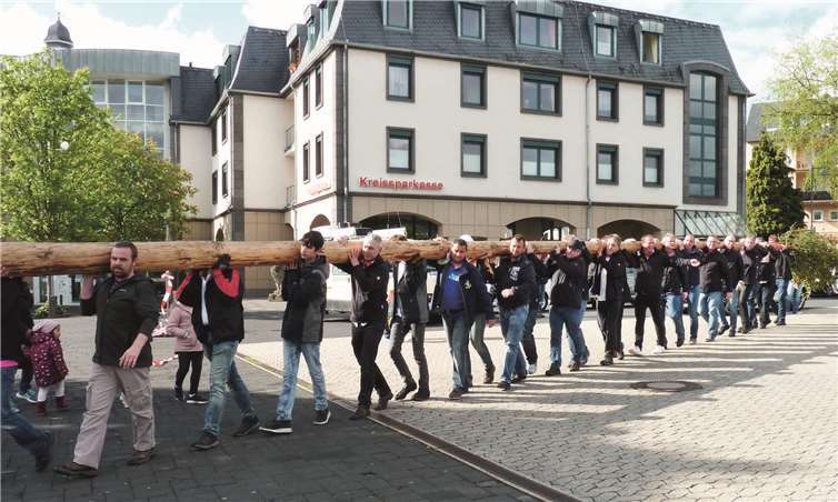 Die Prinzengardisten wurden von vielen starken Männern beim Transport des Maibaums von der Jahnstraße zum Marktplatz tatkräftig unterstützt. Fotos: FRE