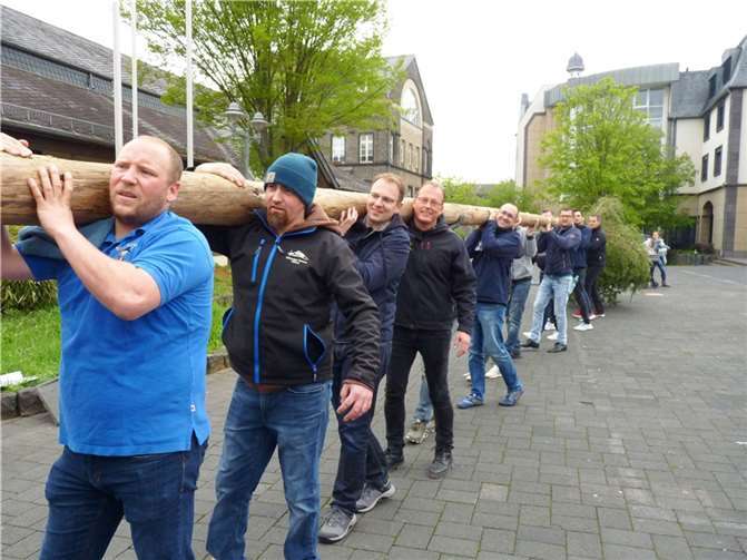 Die Prinzengardisten wurden von vielen starken Männern beim Transport des Maibaums von der Jahnstraße zum Marktplatz tatkräftig unterstützt.  Fotos: FRE