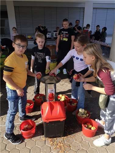Die Produktion läuft: Neben dem Apfelsaft entstanden auch Apfelgelee und verschiedene Gebäcke aus den Früchten. Quelle: Realschule plus und Fachoberschule Untermosel