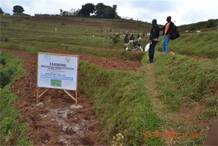 Die Projekte helfen dabei die Essensversorgung zu verbessern.