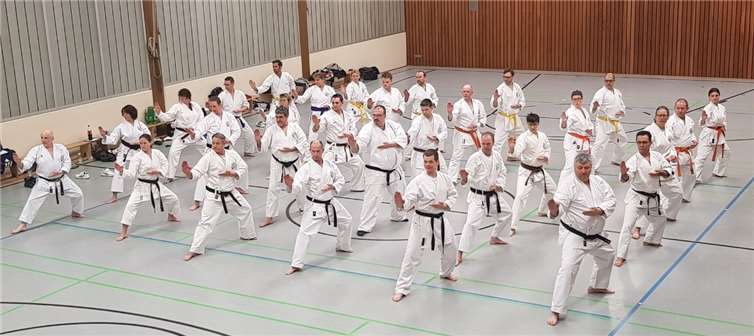 Die Puderbacher Ü-30 Karatekas beim Training während des Trainingslagers in der Sportschule Rheinhessen.